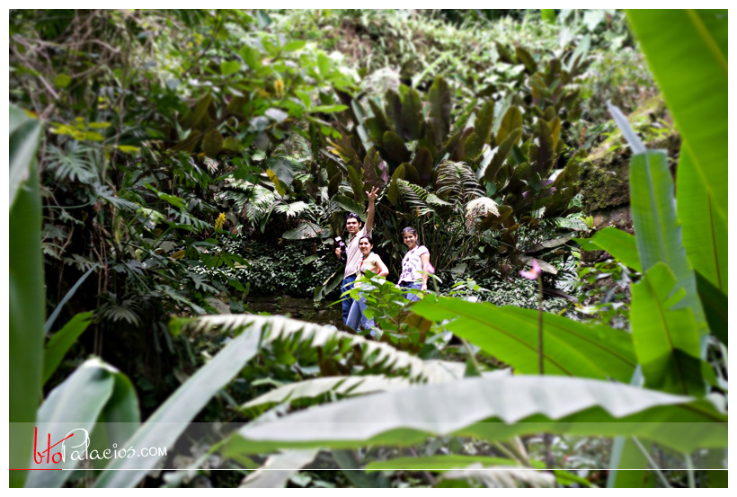 Road Trip Xilitla, San Luis Potosí